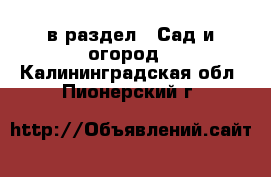  в раздел : Сад и огород . Калининградская обл.,Пионерский г.